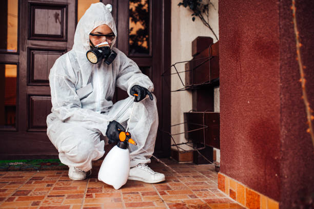 Reliable Bed Bug Control contractor in Destrehan, LA by Nex Pest Control