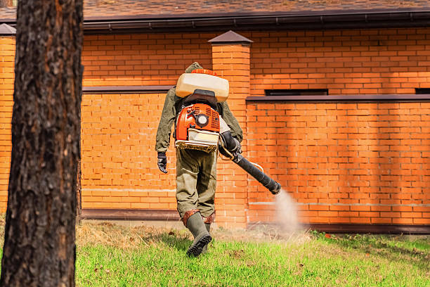 Trusted Cockroach Control service in Destrehan, LA - Nex Pest Control